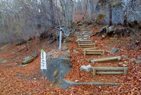 瑞牆山を歩こう♪ 瑞牆山を歩こう♪