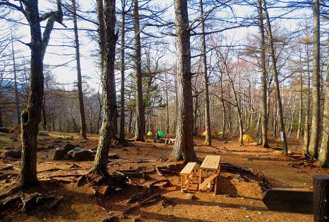 瑞牆山を歩こう♪ 瑞牆山を歩こう♪