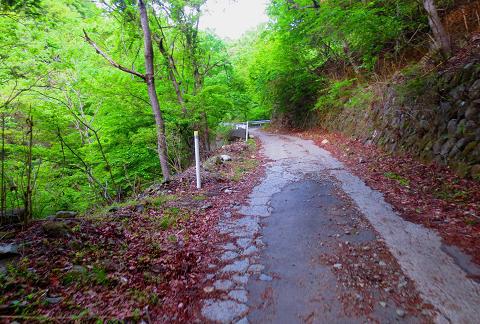 乾徳山を歩こう♪ 岩と鎖と絶景(・∀・) 乾徳山を歩こう♪ 岩と鎖と絶景(・∀・)