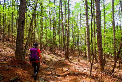 乾徳山を歩こう♪ 岩と鎖と絶景(・∀・) 乾徳山を歩こう♪ 岩と鎖と絶景(・∀・)