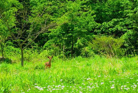 乾徳山を歩こう♪ 岩と鎖と絶景(・∀・) 乾徳山を歩こう♪ 岩と鎖と絶景(・∀・)