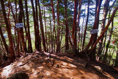 甲武信ヶ岳を歩こう♪ 絶景とテン場と♪ 甲武信ヶ岳を歩こう♪ 絶景とテン場と♪