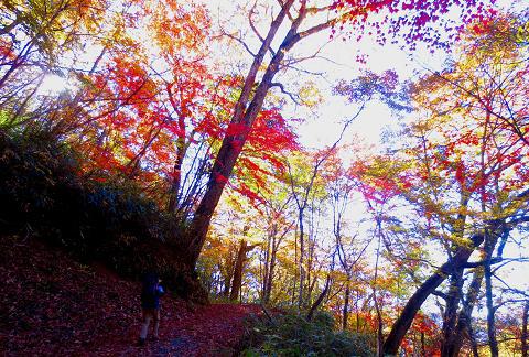 奥秩父を歩こう♪ ノンビリ絶景♪ 奥秩父を歩こう♪ ノンビリ絶景♪