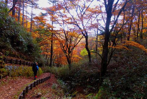奥秩父を歩こう♪ 大河のにじみ( ̄▽ ̄)ゞ 奥秩父を歩こう♪ 大河のにじみ( ̄▽ ̄)ゞ