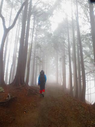 2015最初の山登りも丹沢山で(ゝ∀・)b 2015最初の山登りも丹沢山で(ゝ∀・)b