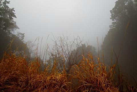 2015最初の山登りも丹沢山で(ゝ∀・)b 2015最初の山登りも丹沢山で(ゝ∀・)b