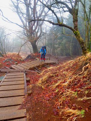 2015最初の山登りも丹沢山で(ゝ∀・)b 2015最初の山登りも丹沢山で(ゝ∀・)b