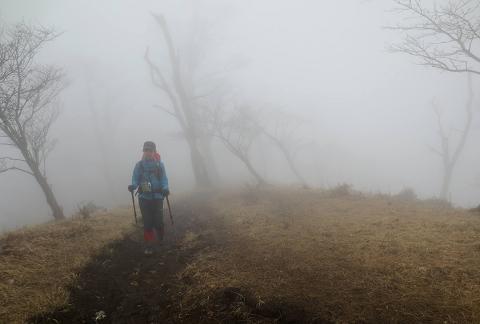 2015最初の山登りも丹沢山で(ゝ∀・)b 2015最初の山登りも丹沢山で(ゝ∀・)b