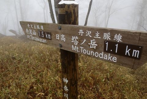 2015最初の山登りも丹沢山で(ゝ∀・)b 2015最初の山登りも丹沢山で(ゝ∀・)b