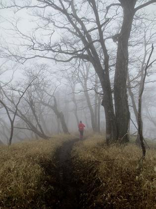 2015最初の山登りも丹沢山で(ゝ∀・)b 2015最初の山登りも丹沢山で(ゝ∀・)b