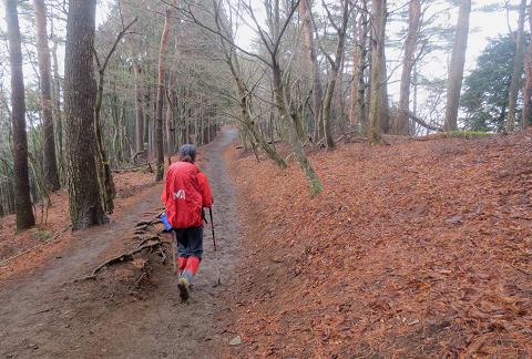 2015最初の山登りも丹沢山で(ゝ∀・)b 2015最初の山登りも丹沢山で(ゝ∀・)b