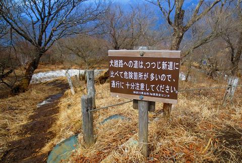 今週はバッチリ! 西丹沢 檜洞丸~犬越路 今週はバッチリ! 西丹沢 檜洞丸~犬越路