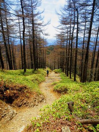 石尾根縦走で今年最初のテン泊登山♪ 石尾根縦走で今年最初のテン泊登山♪
