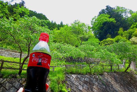 両神山を歩こう♪ 両神山を歩こう♪