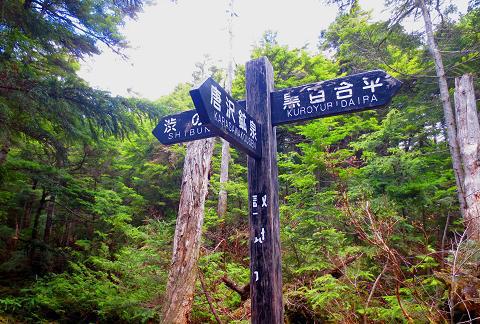 久し振りの北八ヶ岳 絶景満喫の天狗岳♪ 久し振りの北八ヶ岳 絶景満喫の天狗岳♪