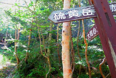 梅雨の晴れ間に絶景1泊山行 ~横岳~硫黄岳 梅雨の晴れ間に絶景1泊山行 ~横岳~硫黄岳
