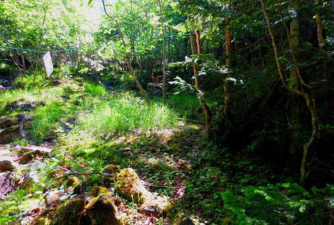 梅雨の晴れ間に絶景1泊山行 ~横岳~硫黄岳 梅雨の晴れ間に絶景1泊山行 ~横岳~硫黄岳