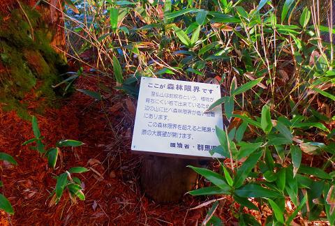 紅葉終わりの至仏山を歩こう♪ 紅葉終わりの至仏山を歩こう♪
