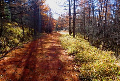 西岳♪ 今シーズン最後の八ヶ岳かな♪ 西岳♪ 今シーズン最後の八ヶ岳かな♪