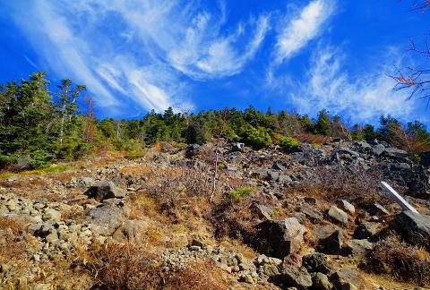 西岳♪ 今シーズン最後の八ヶ岳かな♪ 西岳♪ 今シーズン最後の八ヶ岳かな♪
