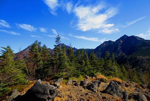 西岳♪ 今シーズン最後の八ヶ岳かな♪ 西岳♪ 今シーズン最後の八ヶ岳かな♪