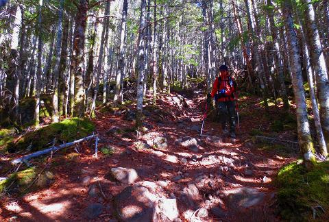 西岳♪ 今シーズン最後の八ヶ岳かな♪ 西岳♪ 今シーズン最後の八ヶ岳かな♪