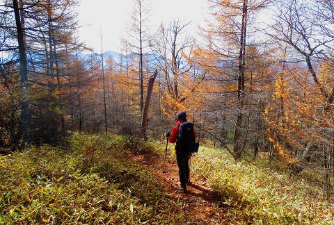 西岳♪ 今シーズン最後の八ヶ岳かな♪ 西岳♪ 今シーズン最後の八ヶ岳かな♪