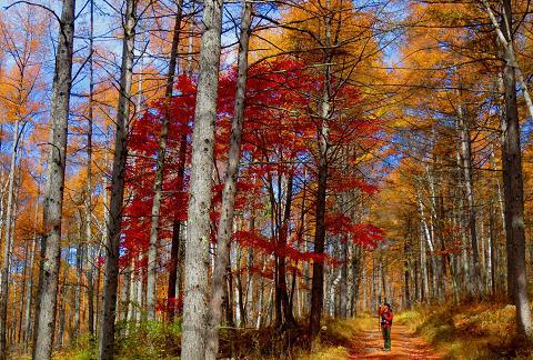 西岳♪ 今シーズン最後の八ヶ岳かな♪ 西岳♪ 今シーズン最後の八ヶ岳かな♪