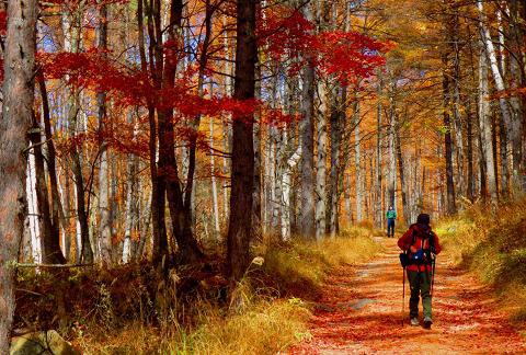 西岳♪ 今シーズン最後の八ヶ岳かな♪ 西岳♪ 今シーズン最後の八ヶ岳かな♪
