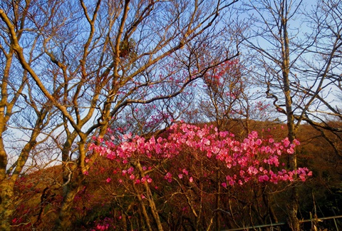 GW遠征登山♪ 最終日はサクッと御在所岳♪ GW遠征登山♪ 最終日はサクッと御在所岳♪