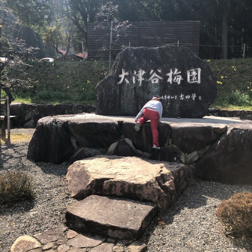 【有名無料キャンプ場】大津谷公園キャンプ場 訪問レビュー① 【有名無料キャンプ場】大津谷公園キャンプ場 訪問レビュー①