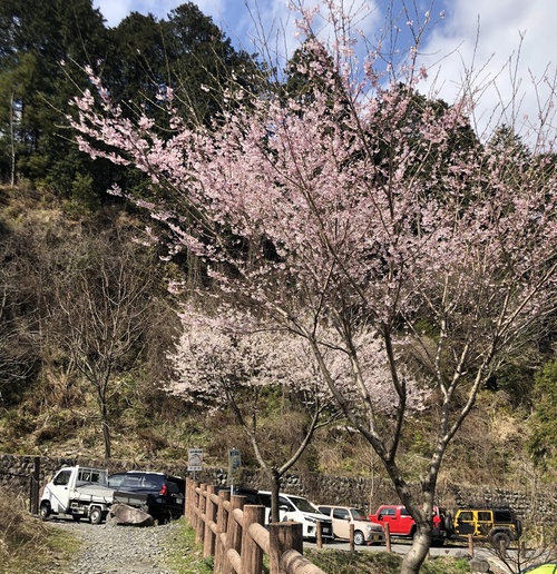 【有名無料キャンプ場】大津谷公園キャンプ場 訪問レビュー① 【有名無料キャンプ場】大津谷公園キャンプ場 訪問レビュー①