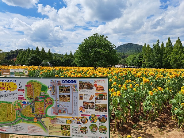 キャンプレポ【69】広島県 ほたる見公園キャンプ場 第3話 キャンプレポ【69】広島県 ほたる見公園キャンプ場 第3話