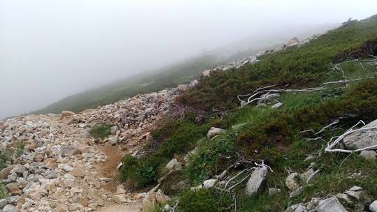 白馬三山縦走~♪② 白馬三山縦走~♪②