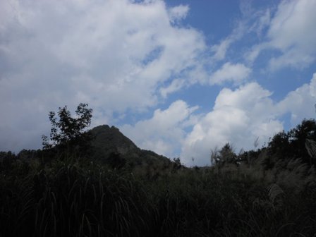 沸き立つ雲 沸き立つ雲