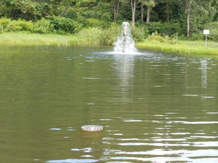 噴水と排水口 噴水と排水口