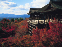 京都紅葉 京都紅葉