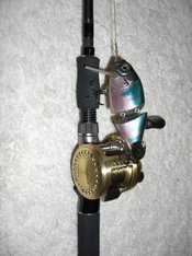 琵琶湖 釣れてますか?