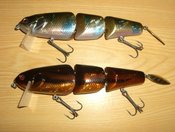 琵琶湖 釣れてますか?