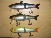 琵琶湖 釣れてますか?