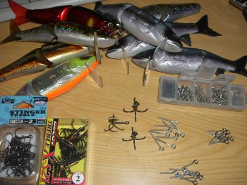 琵琶湖 釣れてますか?