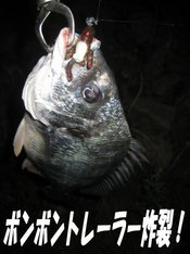 淀川チニング ジグヘッド特訓!