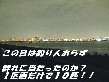 淀川チニング ジグヘッド特訓!