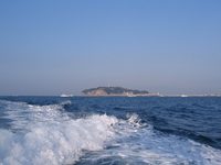 <相模湾カワハギ/船釣り/2009.11.7>