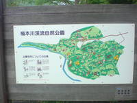 ぶらりソロキャンプ　in　楠本川渓流自然公園