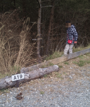 A-19、後ろは樹海~