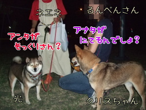 静岡旅行 【お先に番外編】