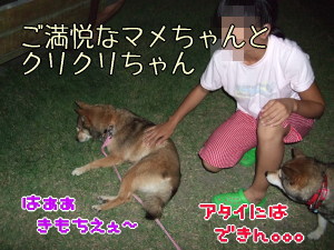 静岡旅行 【お先に番外編】