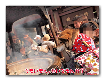 ヒカタム in ASAKUSA 【その1】