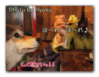 ヒカタム in ASAKUSA 【その1】